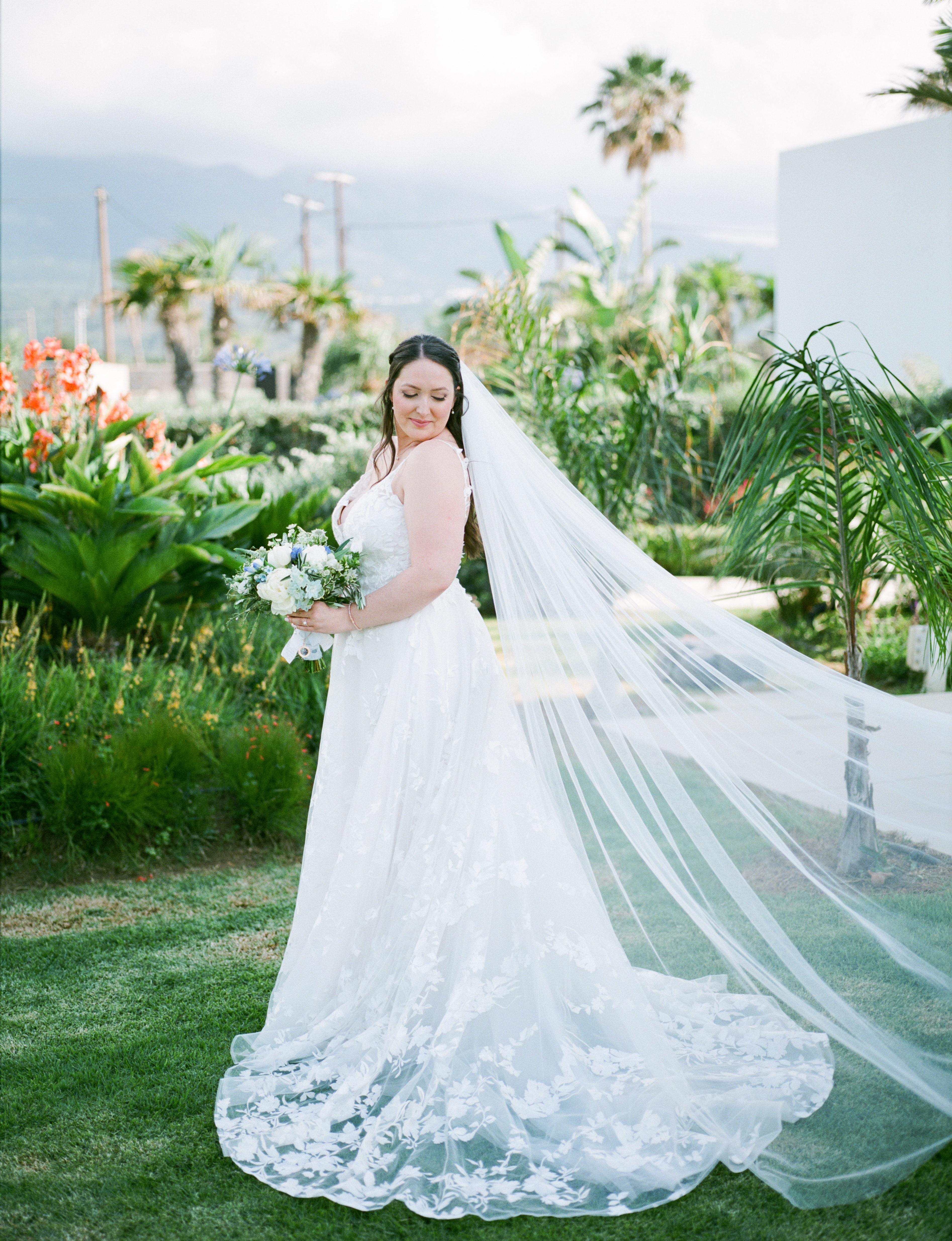 Book your wedding day in Taf Villas and Tera Venue