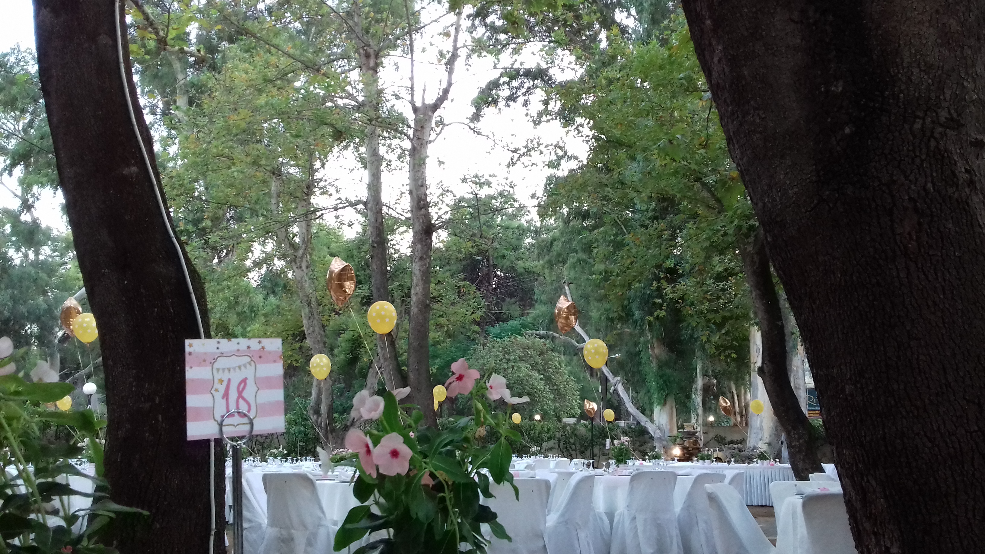 Book your wedding day in Ktima Vasiliou