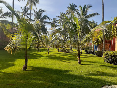 Book your wedding day in Punta Cana Princess - Adults Only