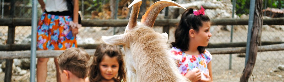 Book your wedding day in Grecotel Agrecofarm Crete