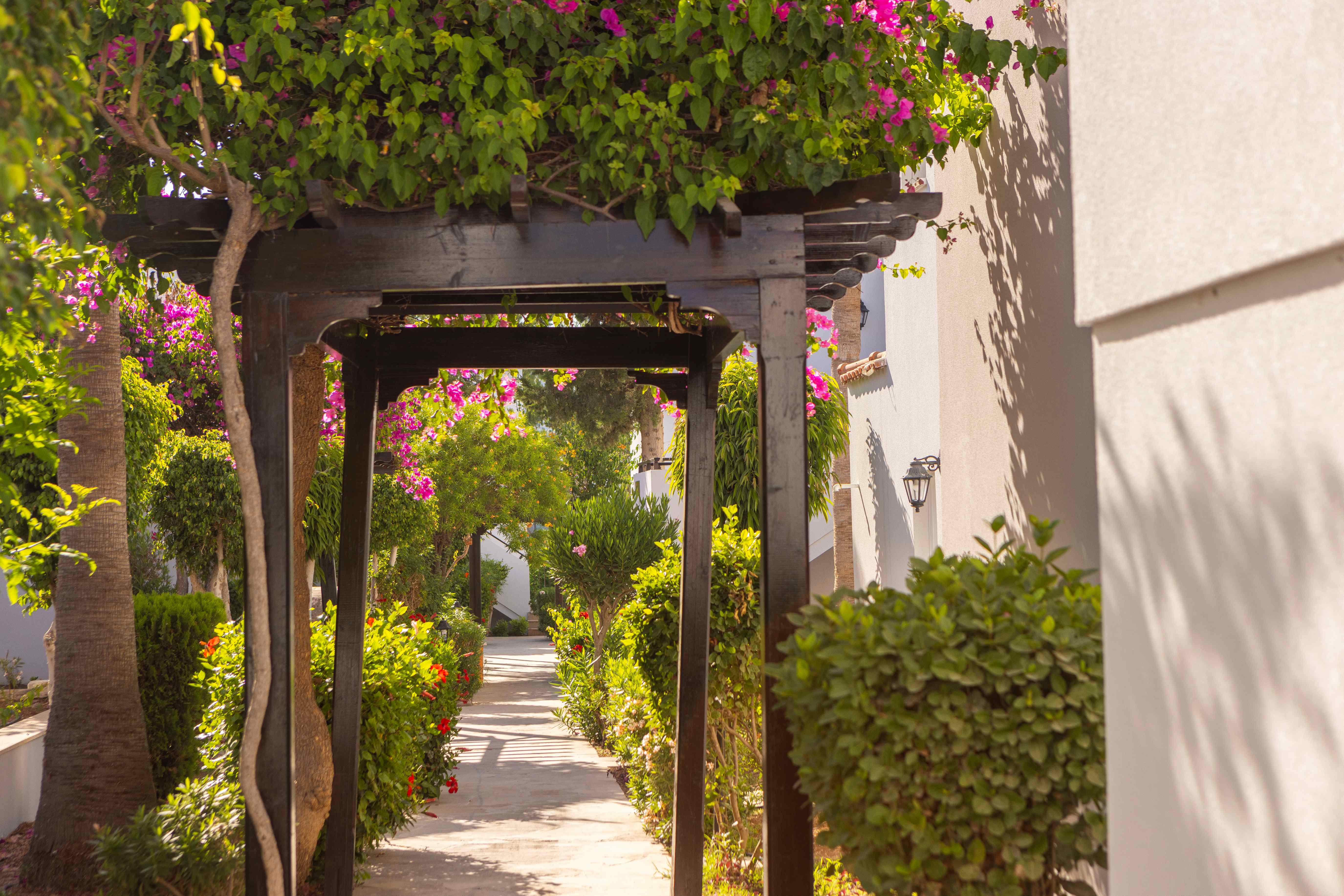 Book your wedding day in Kapetanios Aqua Resort