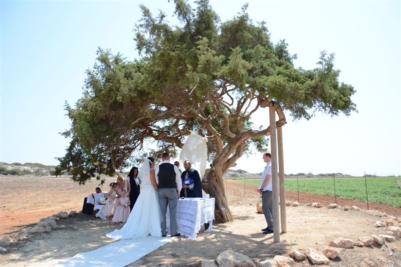 Book your wedding day in Venue Aoratos (Juniper Tree)