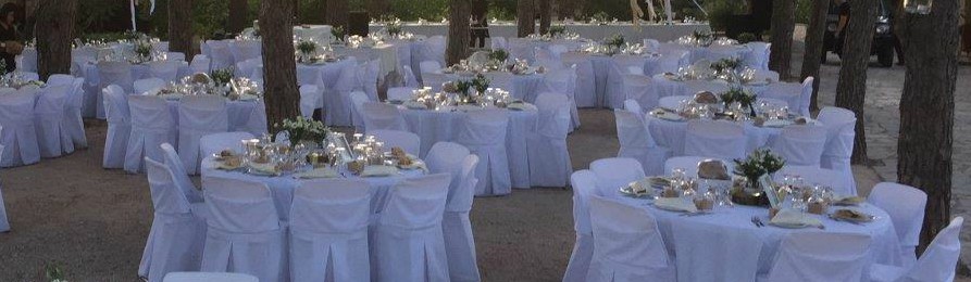 Book your wedding day in Aresti Luxury Villas & Spa Zante