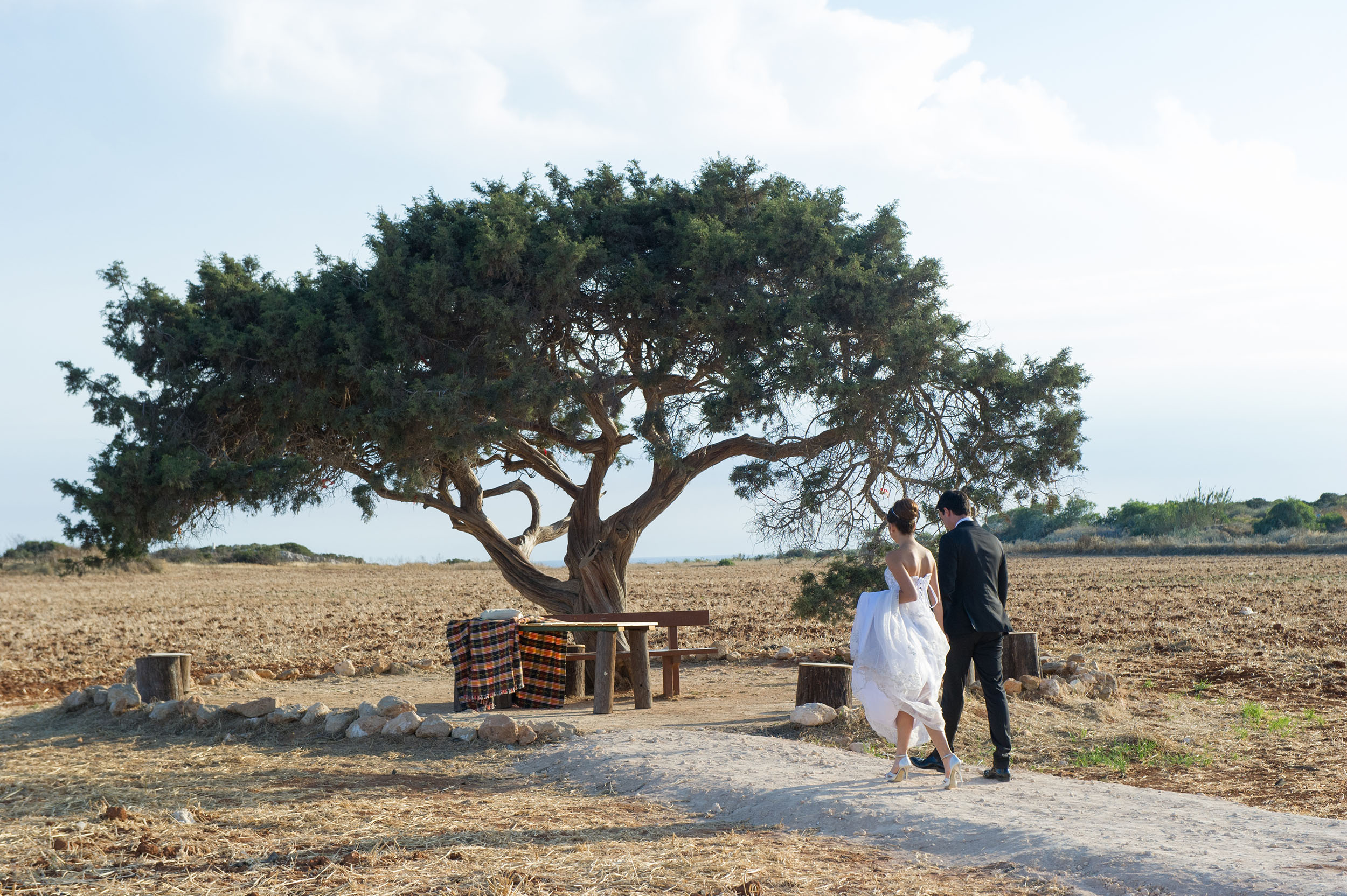 Book your wedding day in Venue Aoratos (Juniper Tree)