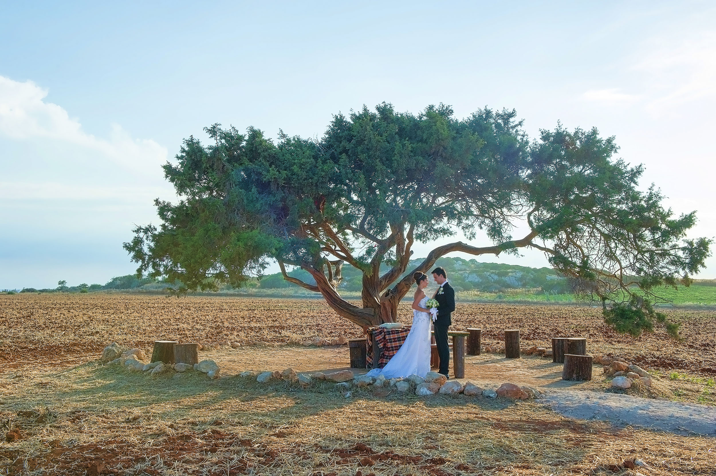 Book your wedding day in Venue Aoratos (Juniper Tree)