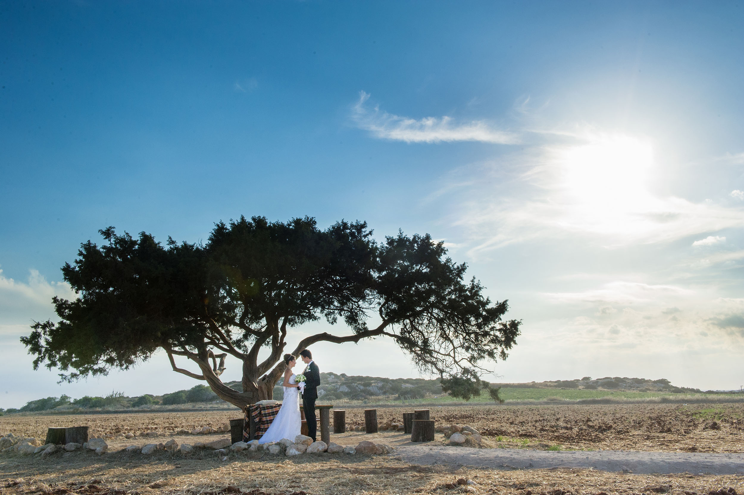 Book your wedding day in Venue Aoratos (Juniper Tree)