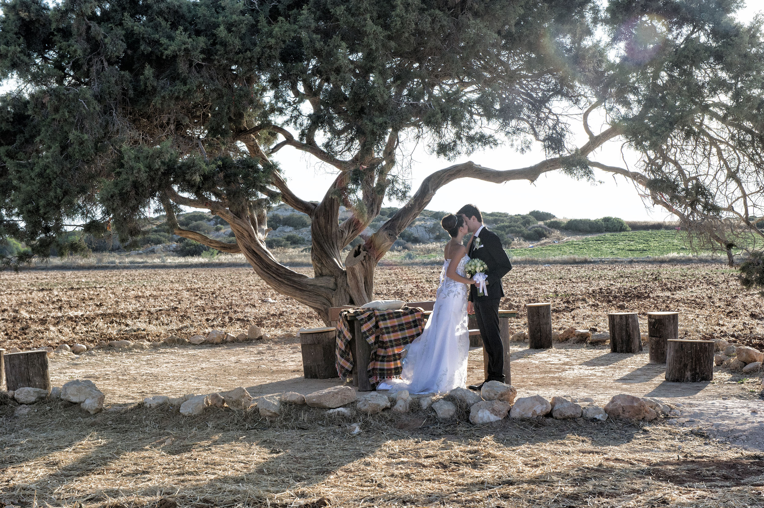 Book your wedding day in Venue Aoratos (Juniper Tree)