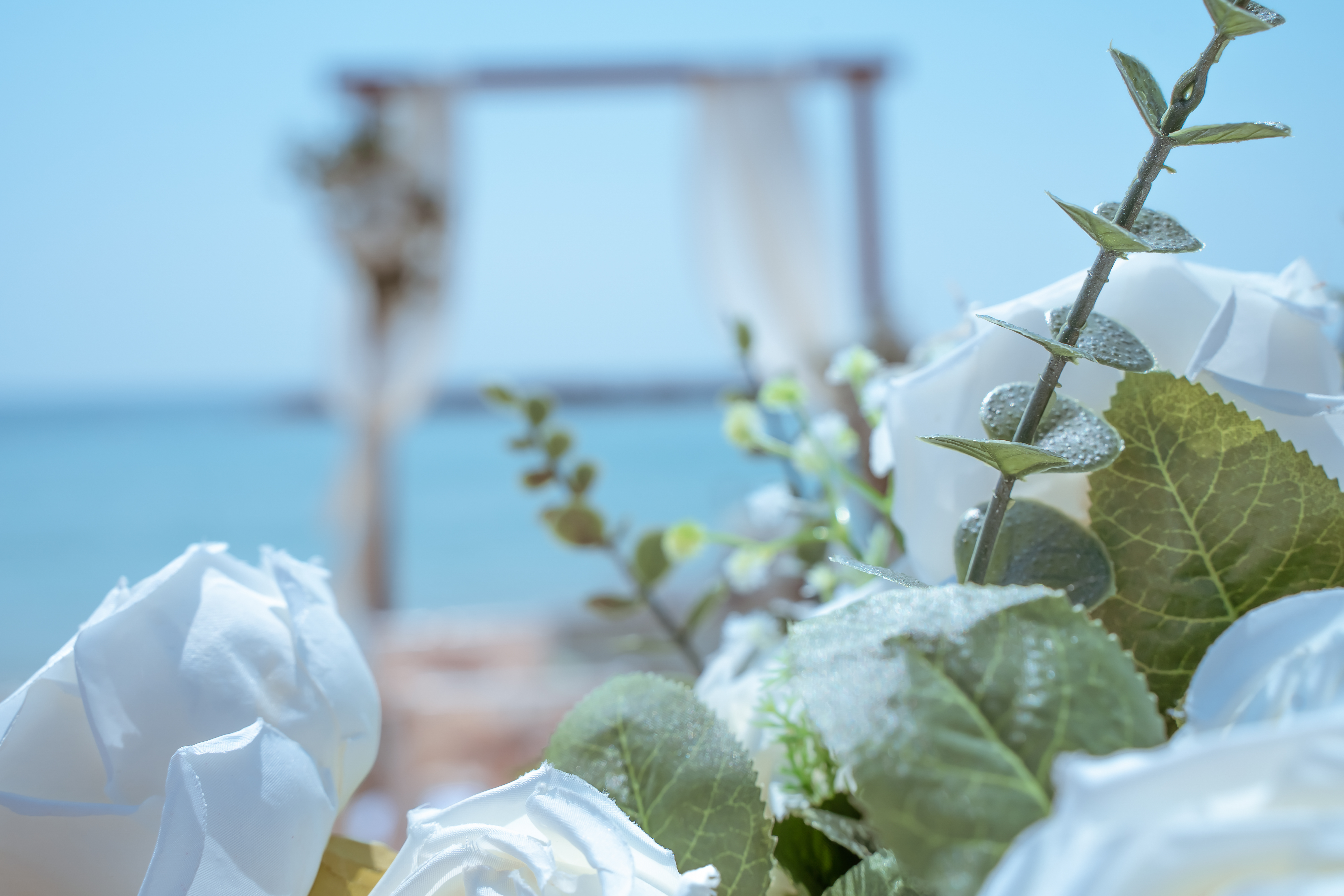 Book your wedding day in Venus Beach Hotel