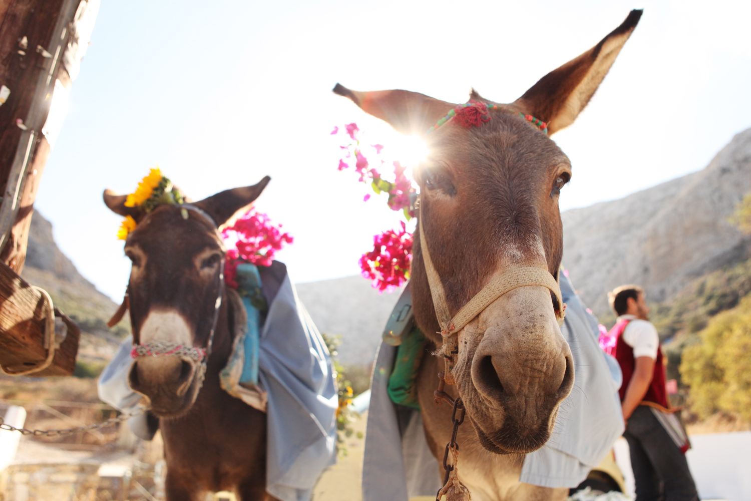 Book your wedding day in Agia Anna Chapel - Beach Amorgos