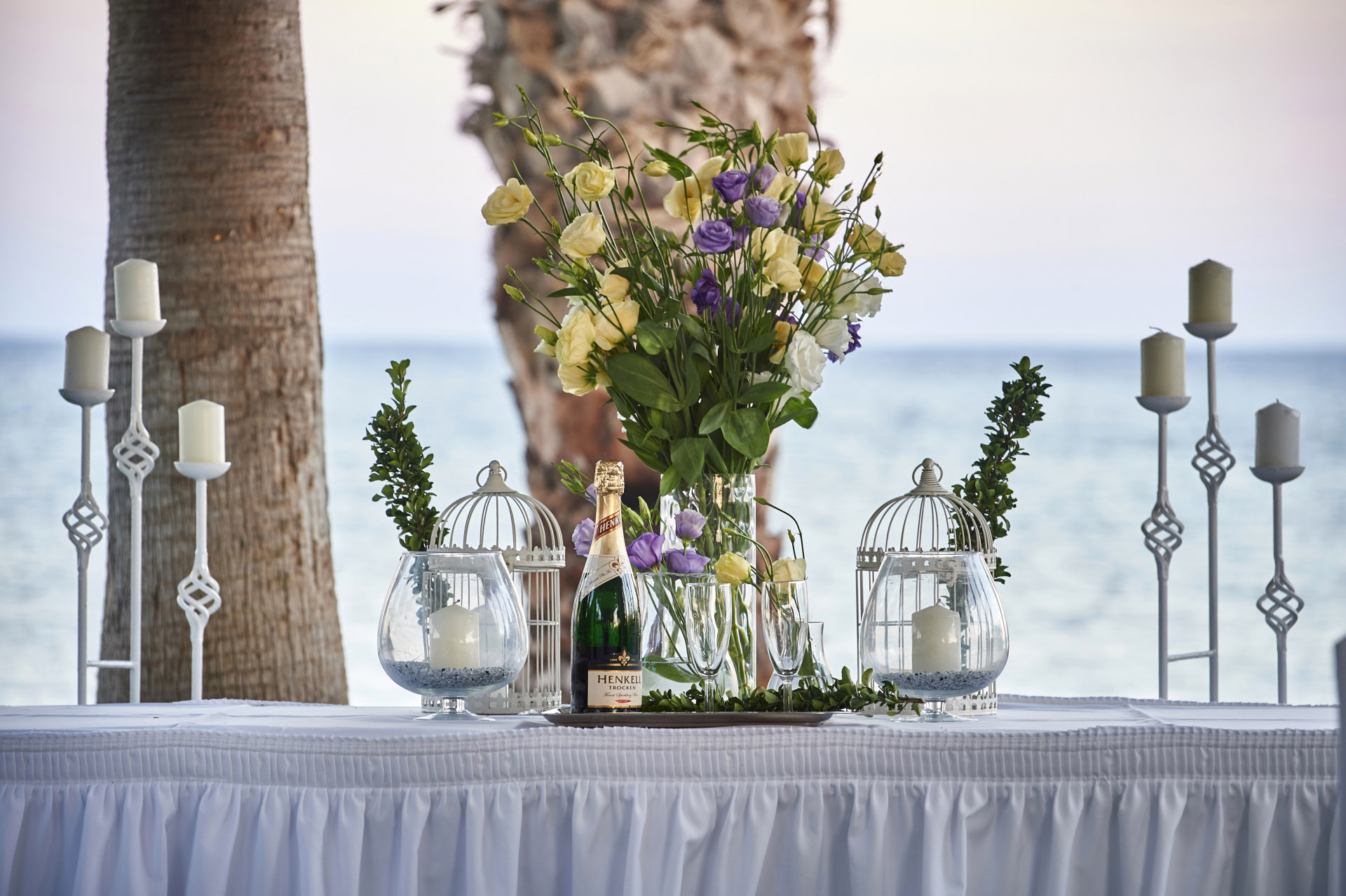 Book your wedding day in Louis Phaethon Beach Hotel Paphos