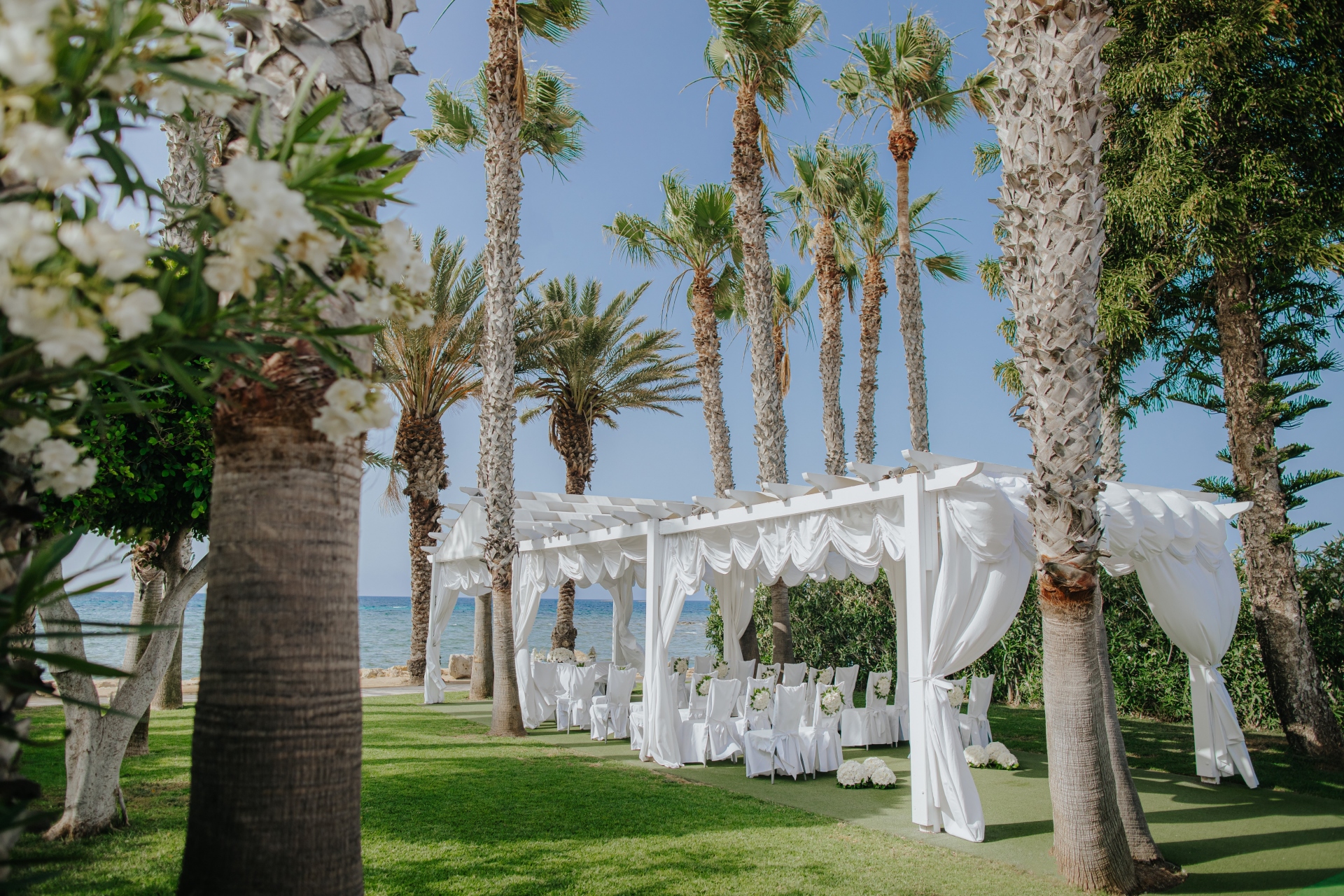 Book your wedding day in Louis Phaethon Beach Hotel Paphos